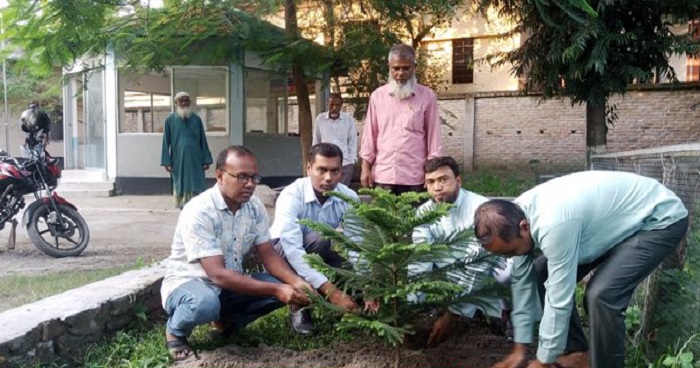 সোনাতলায় ক্রিস্টমাস ট্রি রোপণ করলেন সহকারী কমিশনার ভূমি