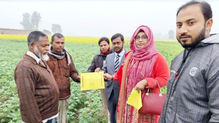 কাহালুতে আলুর বাম্পার ফলনের সম্ভাবনা