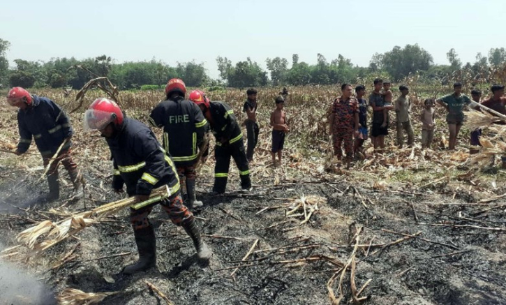 বগুড়ায় আগুনে পুড়লো পঁচিশ বিঘা জমির ভুট্টা,পাশে দাঁড়ালেন ইউএনও