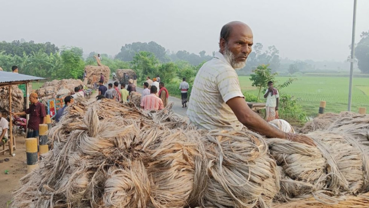 পাটের ভালো দাম পাওয়ায় কৃষকের মুখে হাসি