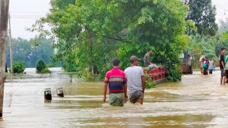 বন্যায় ক্ষতিগ্রস্ত কৃষকদের পাশে সরকার